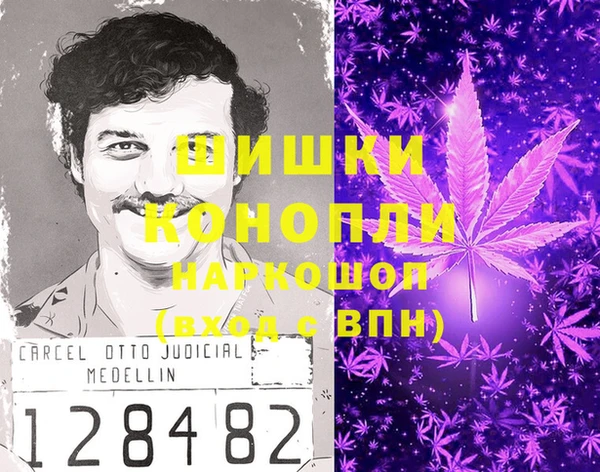 мет Алексин