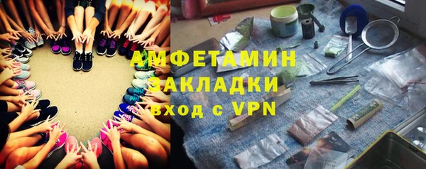 мет Алексин