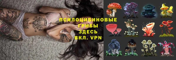 мет Алексин