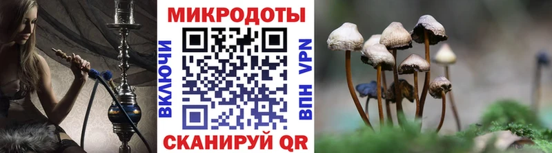 маркетплейс наркотические препараты  Котово  Псилоцибиновые грибы GOLDEN TEACHER 